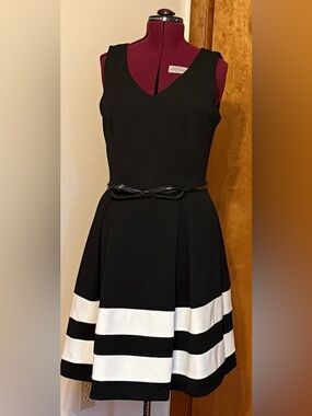 Sleeveless Black & White Striped Fit-and-Flare Dress